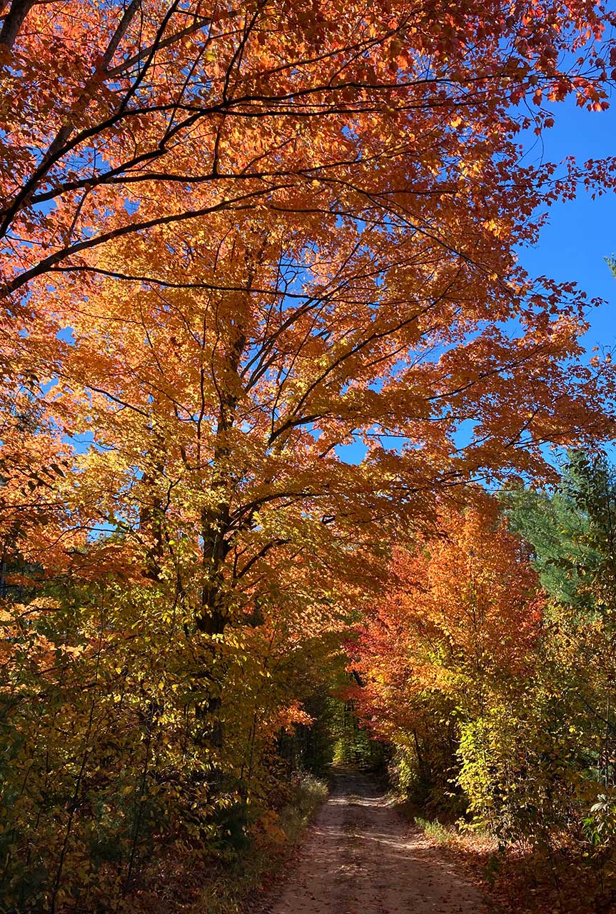 Fall Colors Northern Michigan